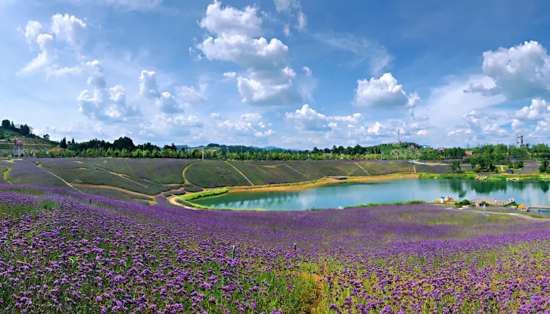微信圖片_20200527101650.jpg