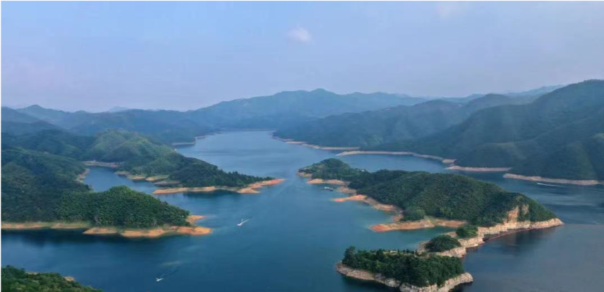 媒體報道 | 引領(lǐng)大別山油茶產(chǎn)業(yè)發(fā)展 東旭藍(lán)天為老區(qū)振興添活力
