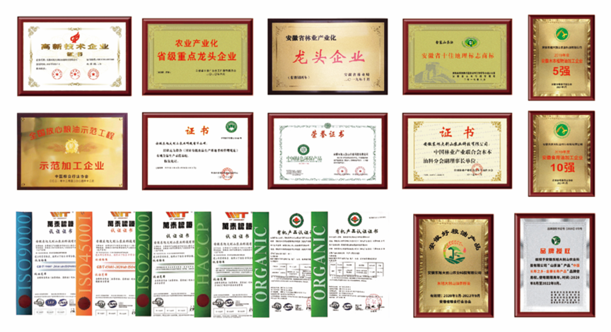 資質(zhì)榮譽(yù).png